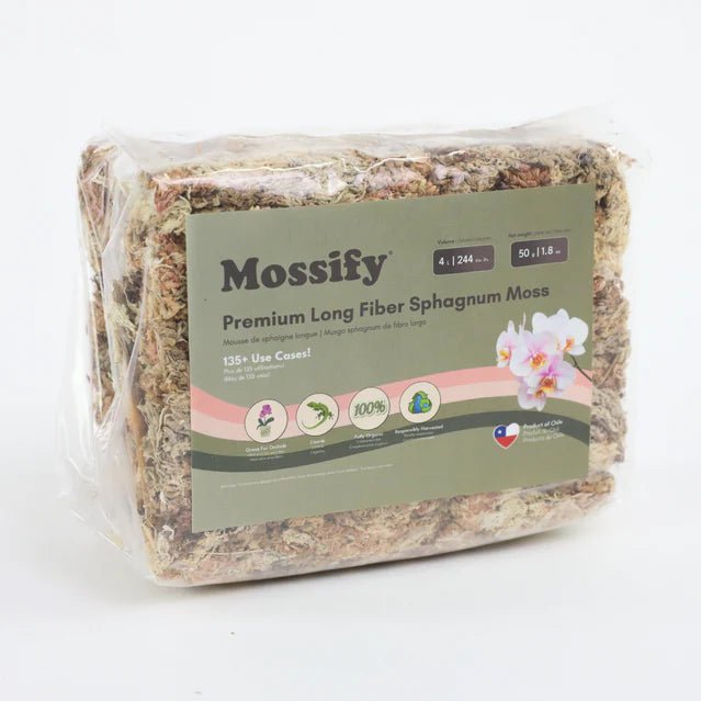 Mousse de Sphaigne - Alma Plantes