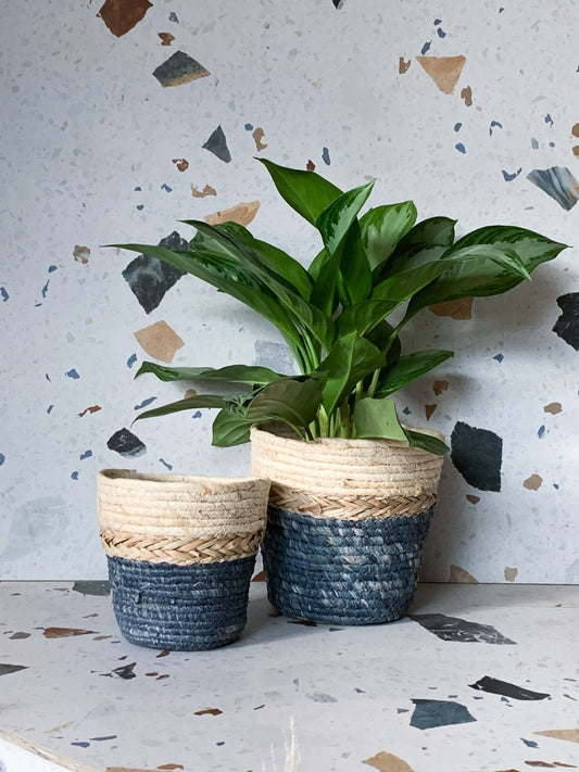 Panier en osier - Bleu & Naturel - Alma Plantes