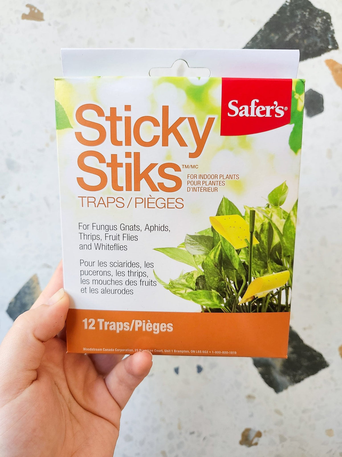 Pièges collantes à sciarides - Sticky Stiks - Alma Plantes