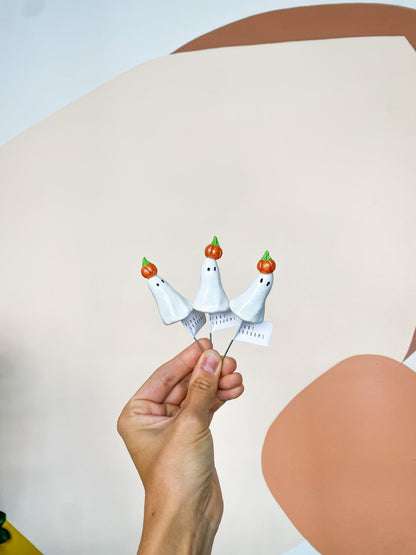 Plantshroom - Alma Plantes