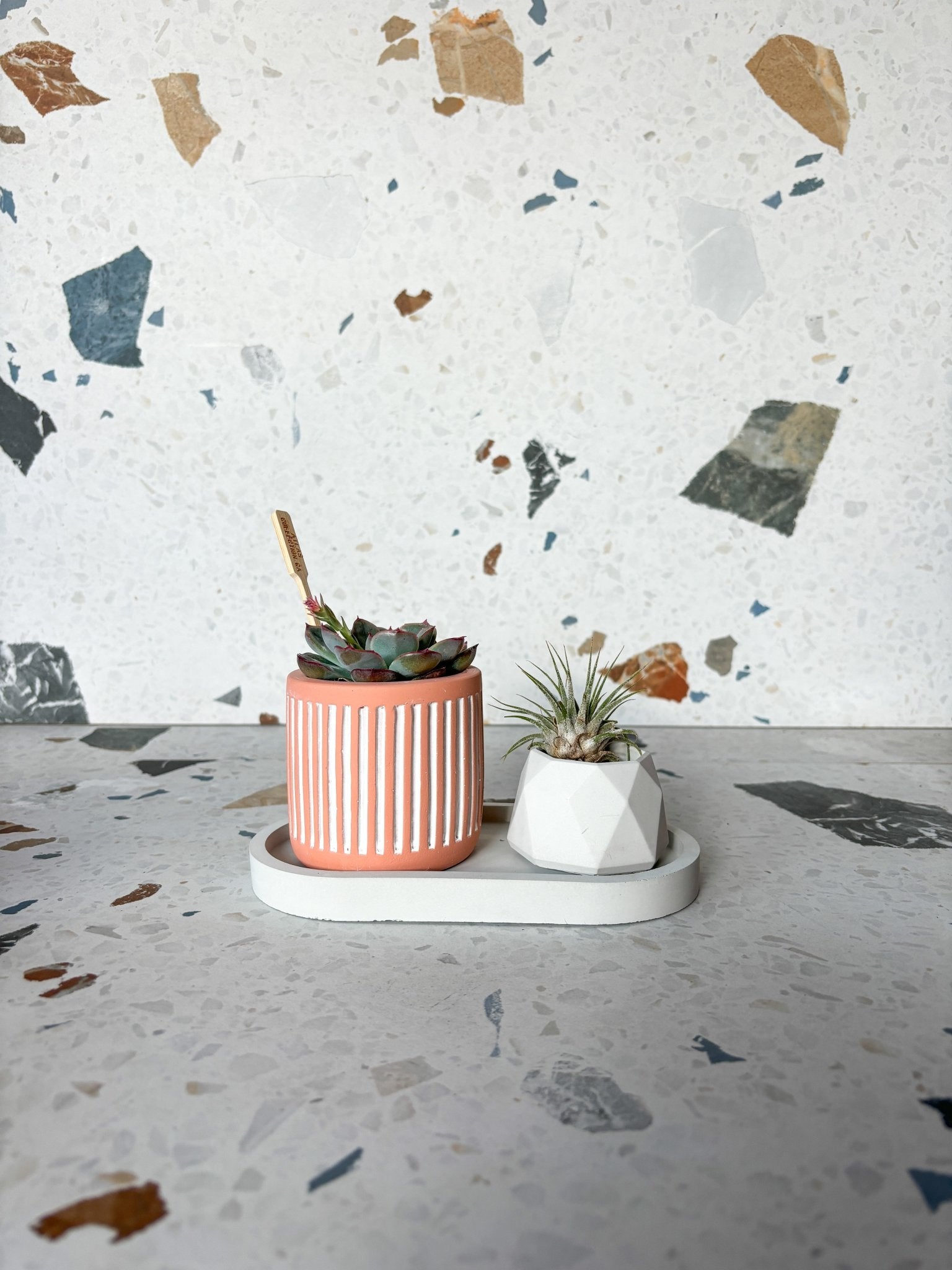 Plateau oval en béton - Alma Plantes