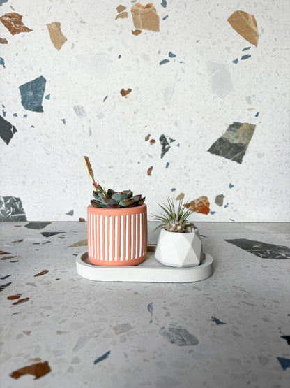 Plateau oval en béton - Alma Plantes