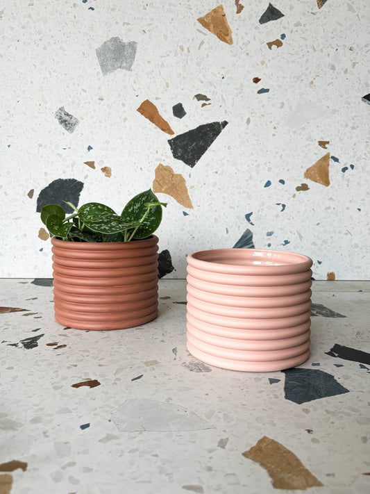 Pot Anne - Karine - Alma Plantes