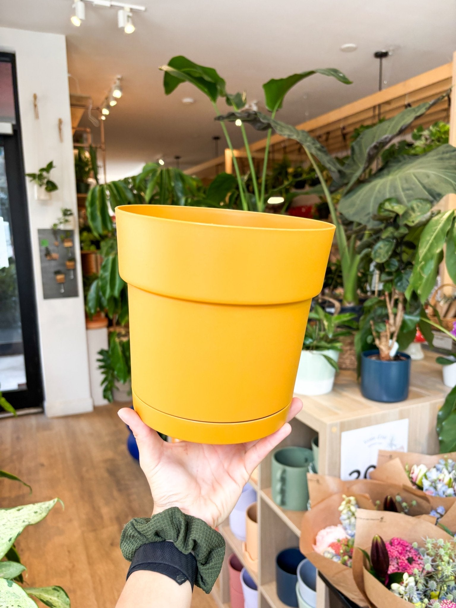 Pot Capri jaune - Alma Plantes