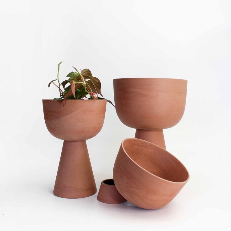 pot Guillaume - Alma Plantes