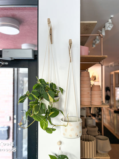 Pot neptune suspendu - Alma Plantes