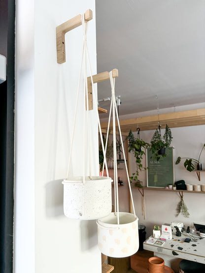 Pot neptune suspendu - Alma Plantes