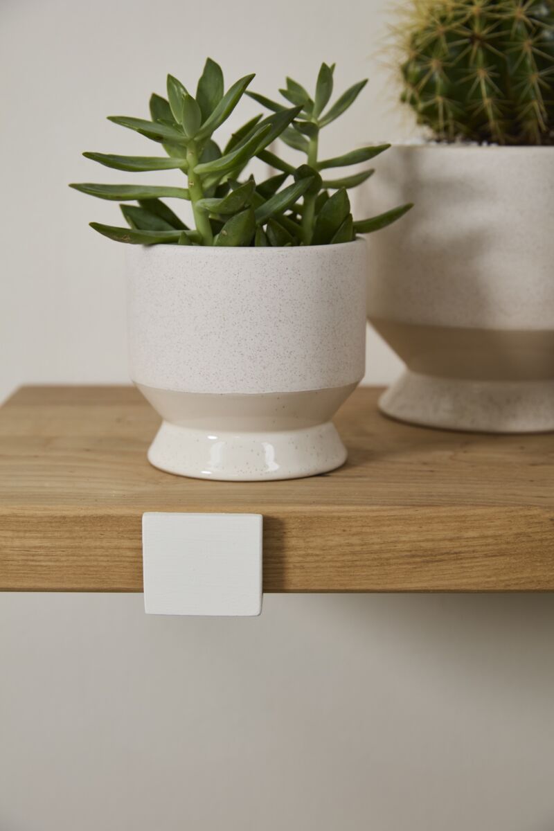 Pot Pasadena - Alma Plantes