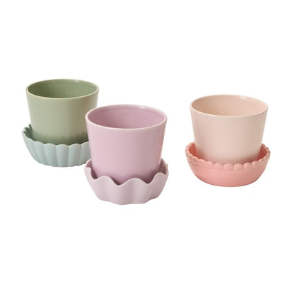 Pot Springvale - Alma Plantes