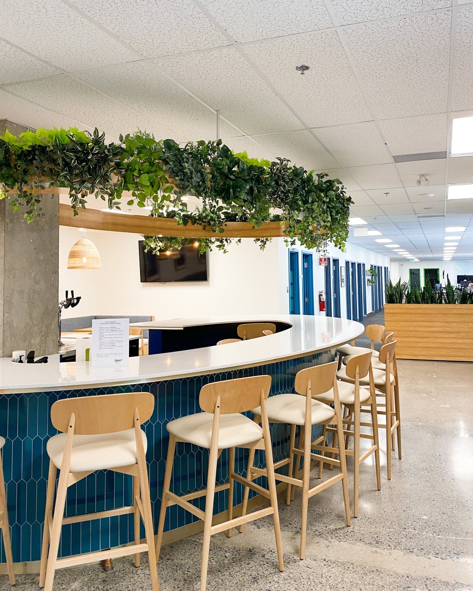 Prise d'information - service corporatif - Alma Plantes