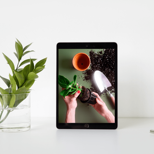 Rempotage & bouturage 101 (virtuel) - Alma Plantes