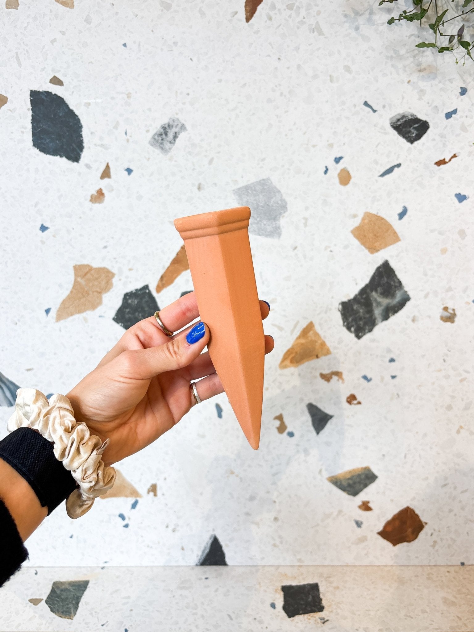 Réservoir d'eau pour bouteille de vin - terre cuite - Alma Plantes