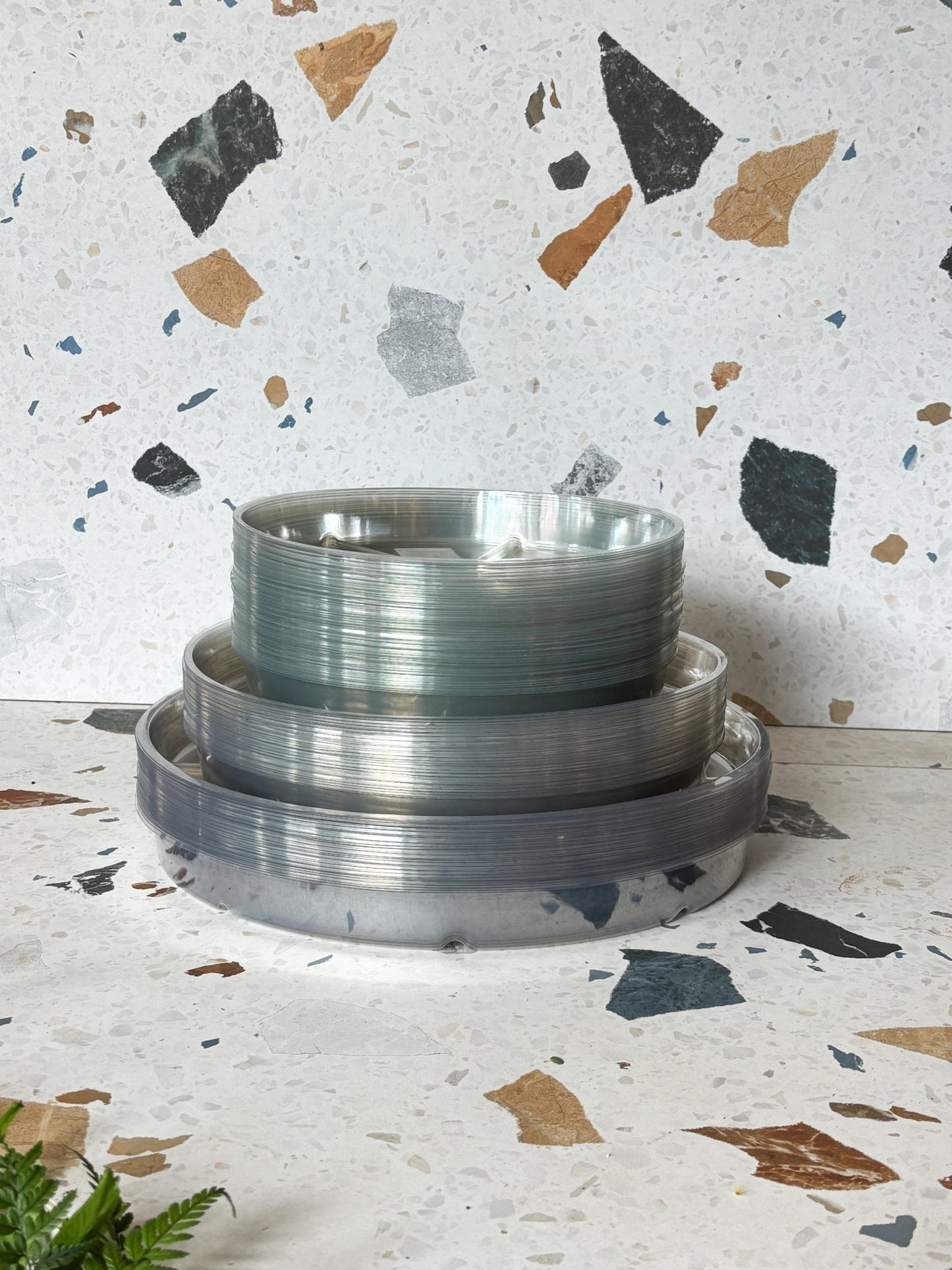 Soucoupes transparentes - Alma Plantes