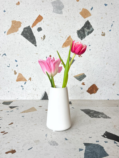 Vase Bud assorti - Alma Plantes