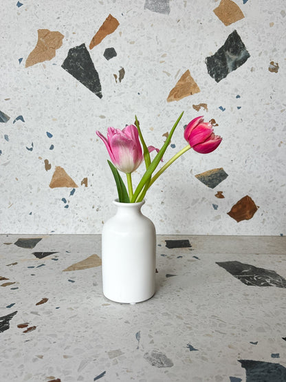 Vase Bud assorti - Alma Plantes