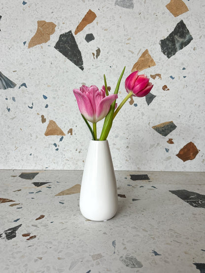 Vase Bud assorti - Alma Plantes
