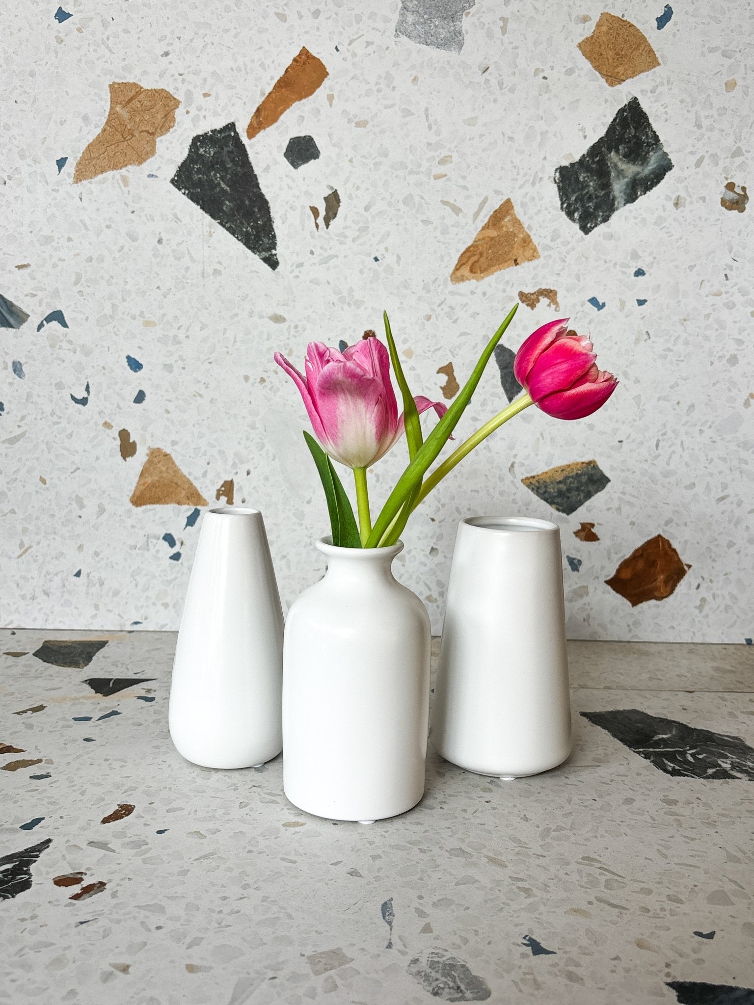 Vase Bud assorti - Alma Plantes