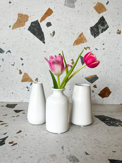 Vase Bud assorti - Alma Plantes