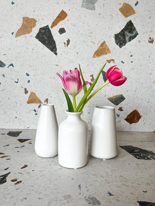 Vase Bud assorti - Alma Plantes