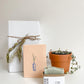Trio “passion” - Savon floral / Plante rose assortie