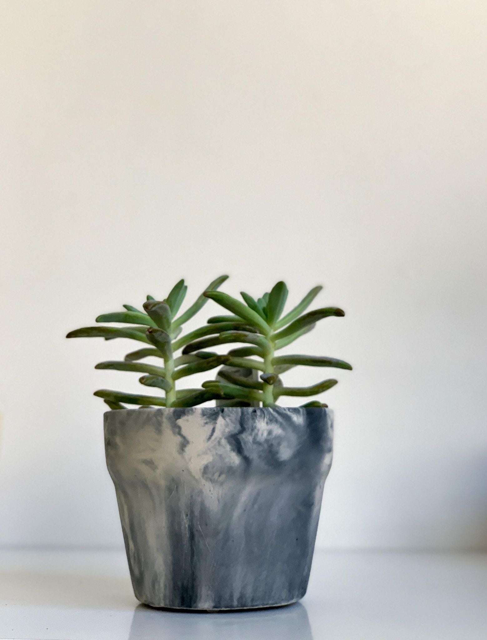Pot en béton ’Cornaline’ - Marbré noir et blanc