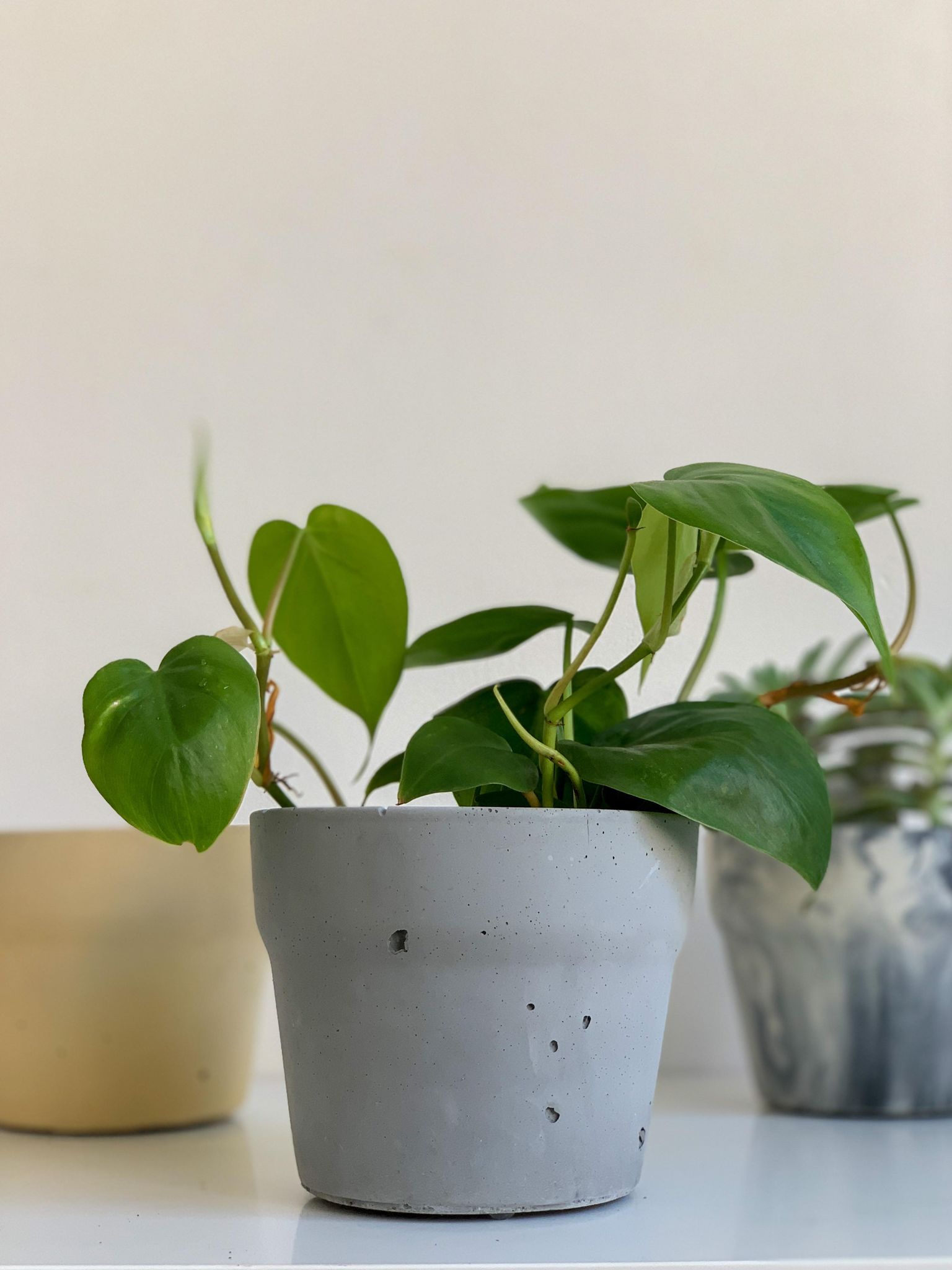 Pot en béton ’Cornaline’ - Gris pâle