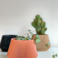 Cache pot Le Joli - Petit (3 po.) / Terre cuite