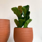 Cache-pot Aura - terre cuite - 7.8 po (20 cm)
