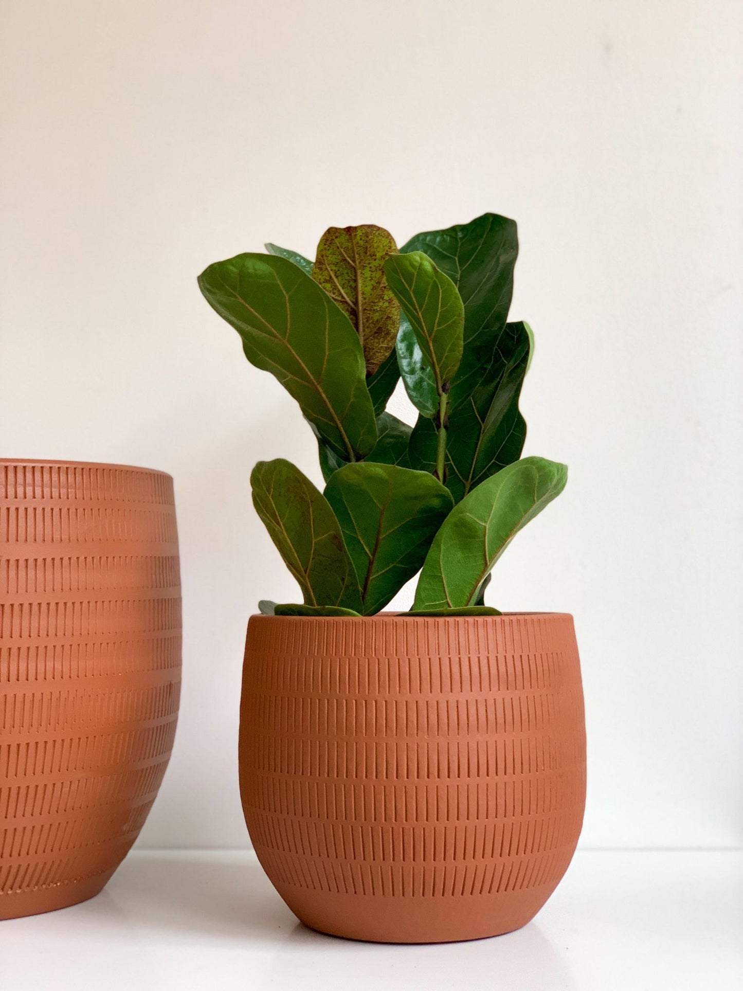 Cache-pot Aura - terre cuite - 7.8 po (20 cm)