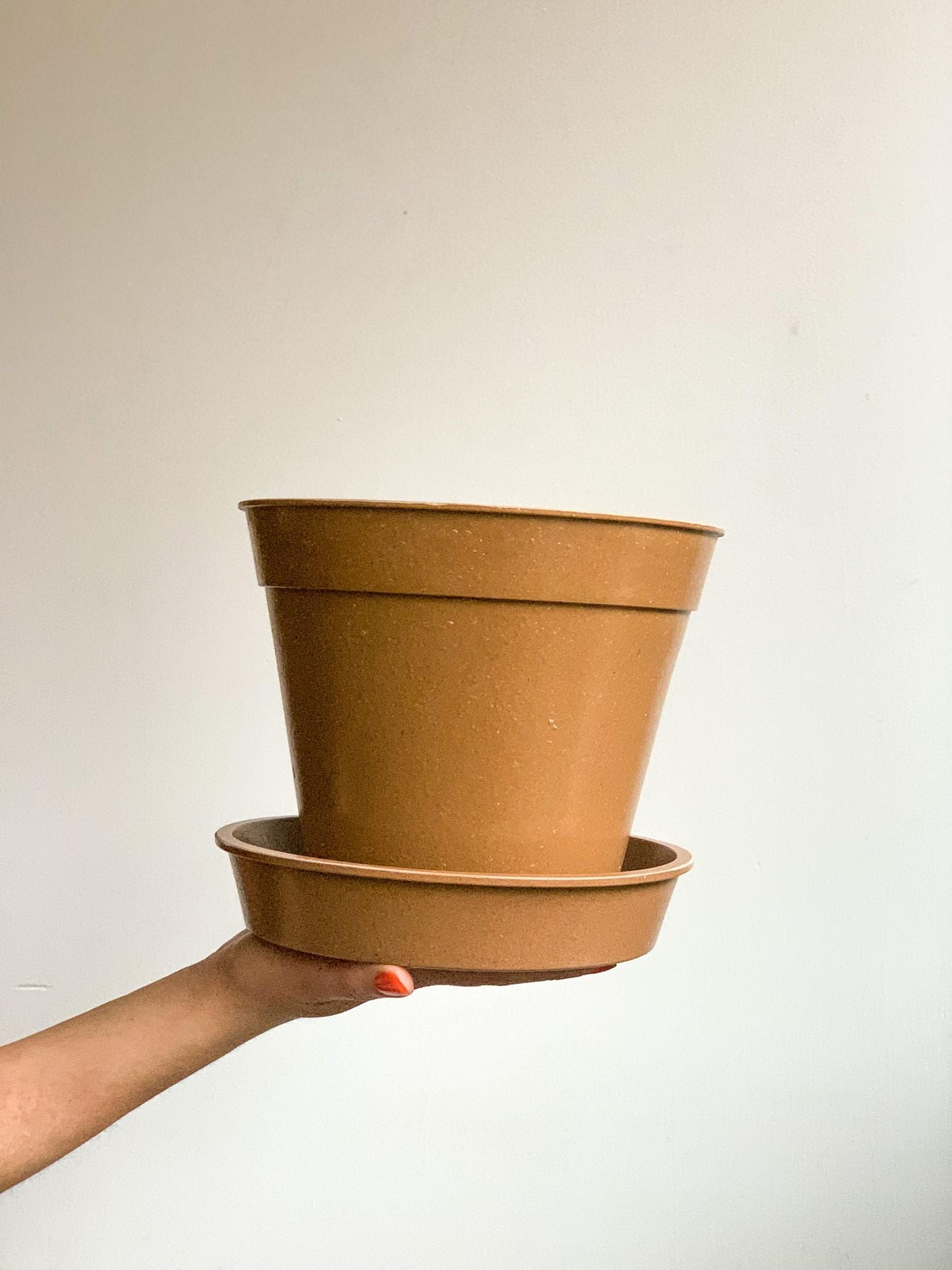 Soucoupe en fibre de bambou - 8 po. (20 cm)
