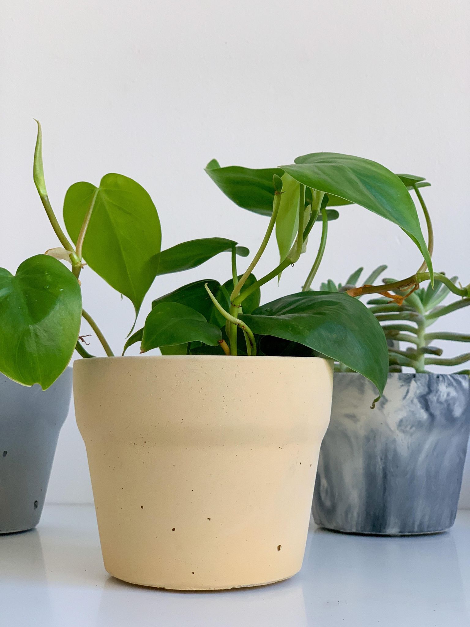 Pot en béton ’Cornaline’ - Jaune