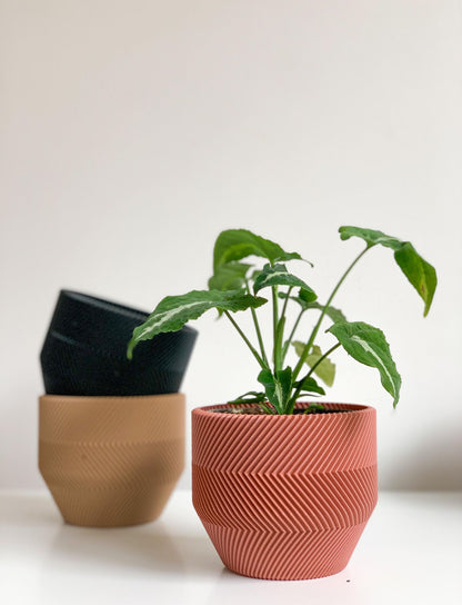 Cache pot Le Zébré - Petit (4 po.) / Terre cuite