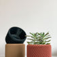 Cache pot La Ruche - Petit (4 po.) / Terre cuite