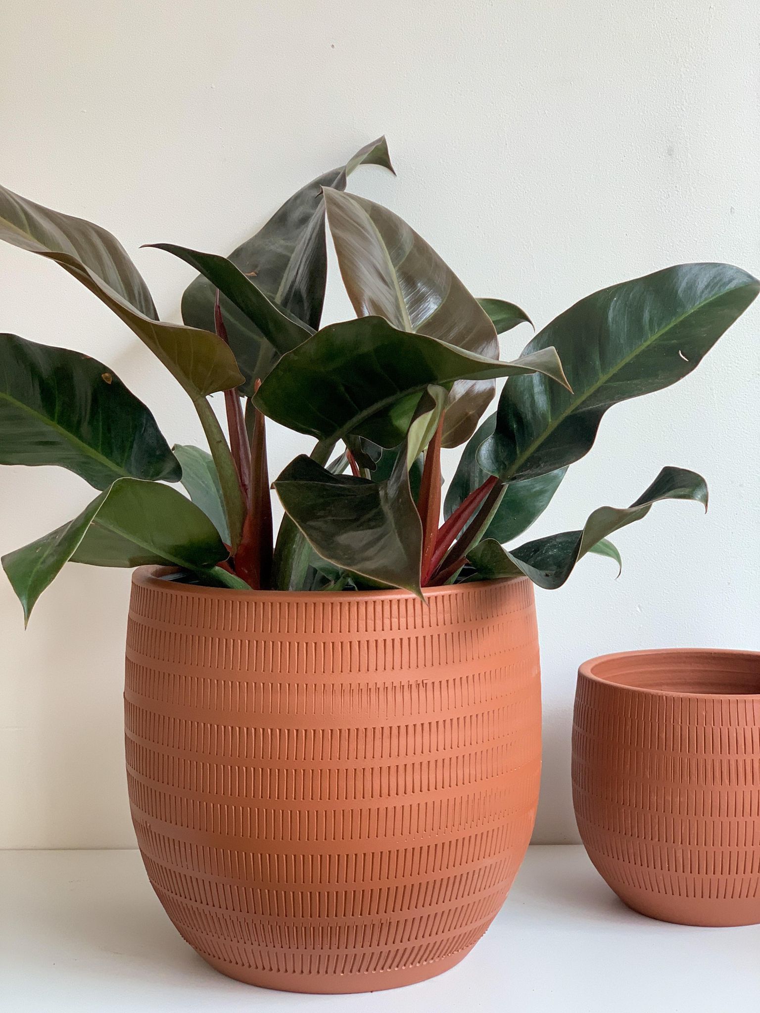Cache-pot Aura - terre cuite - 11.4 po (29 cm)