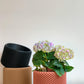 Cache pot La Ruche - Grand (8 po.) / Terre cuite