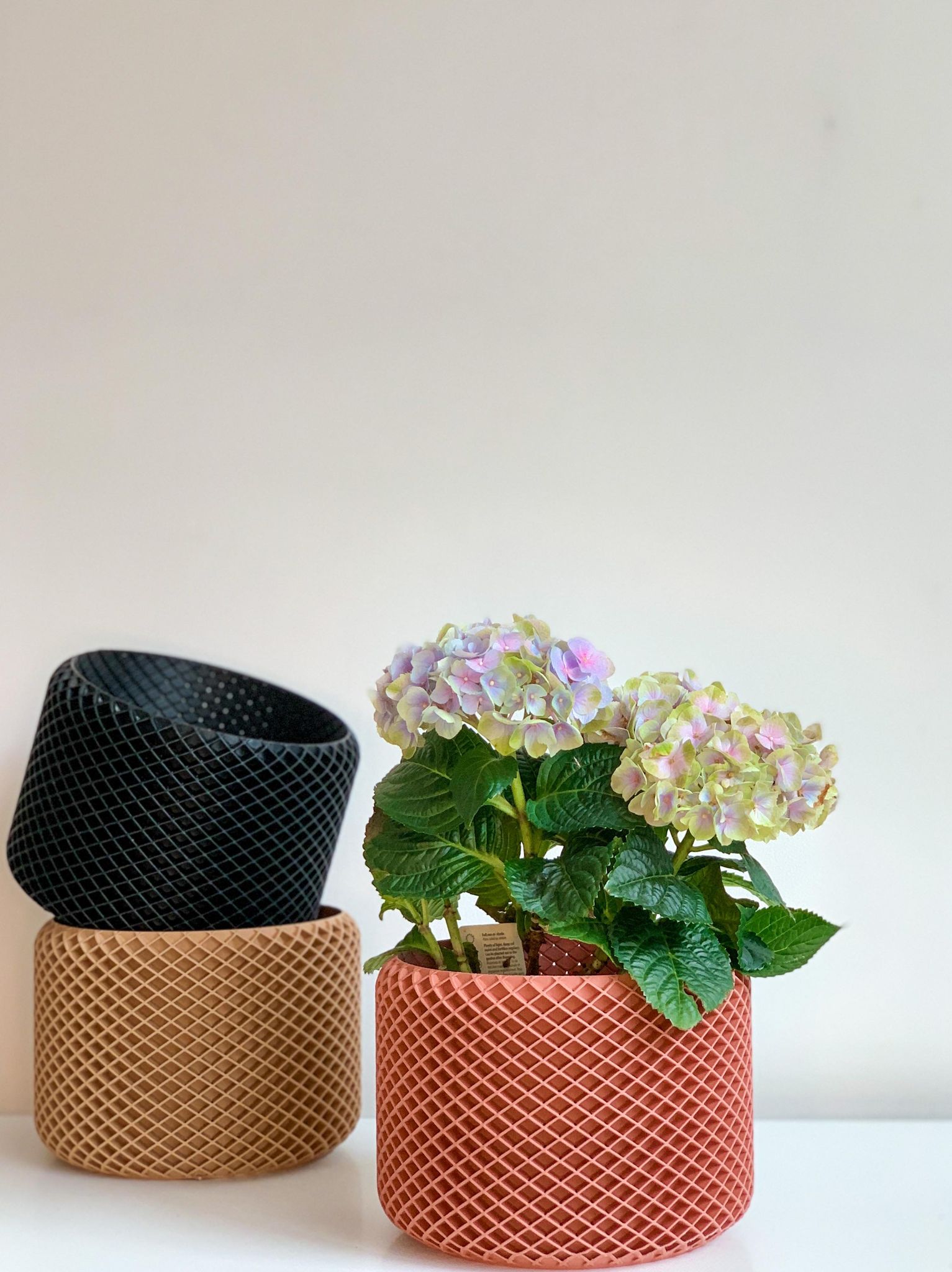 Cache pot La Ruche - Grand (8 po.) / Terre cuite