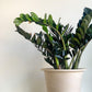 Pot cylindre en terre cuite - granite - 13 po. (33 cm) / 