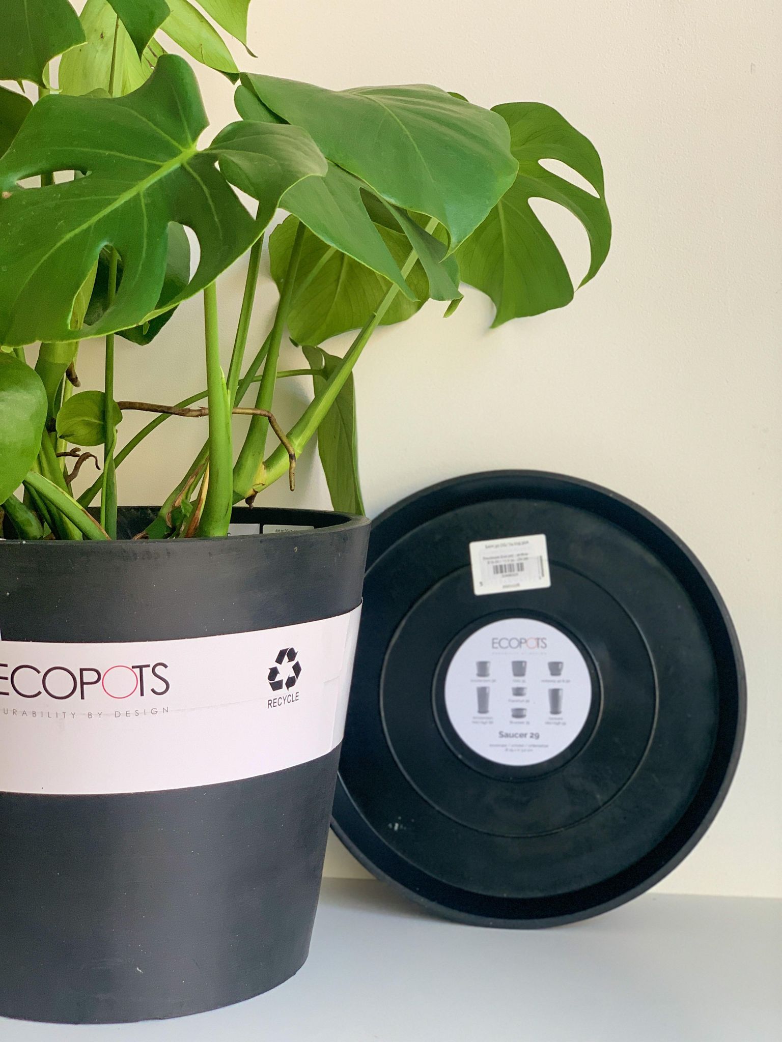 Eco pot - anthracite