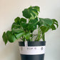Eco pot - anthracite - 11.8 po. (30 cm)