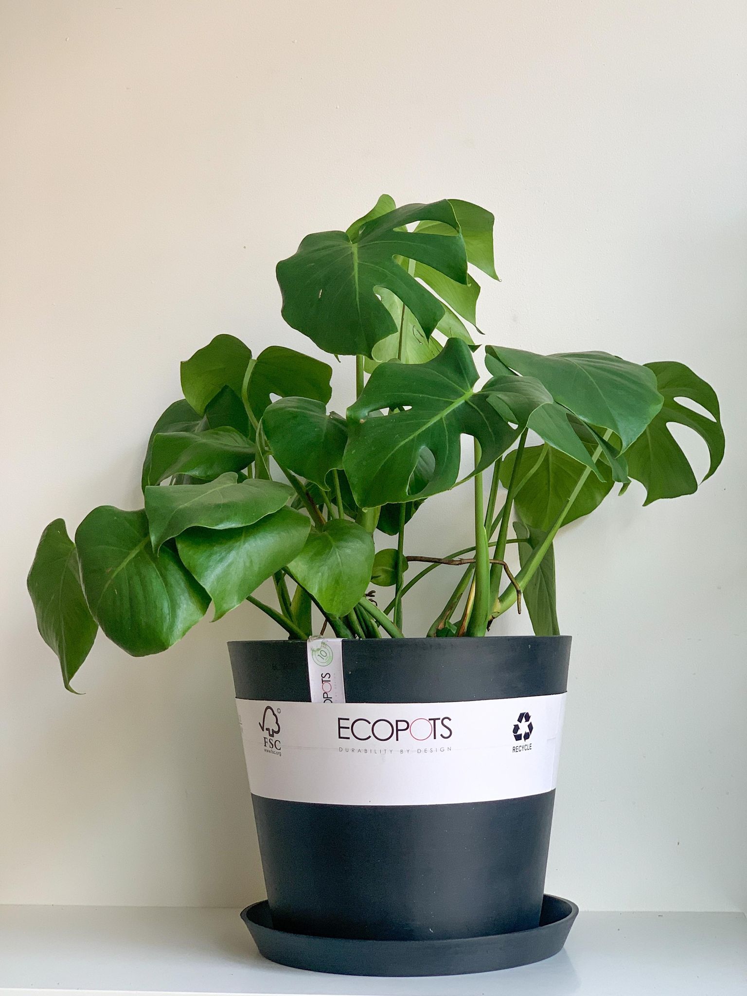 Eco pot - anthracite - 11.8 po. (30 cm)