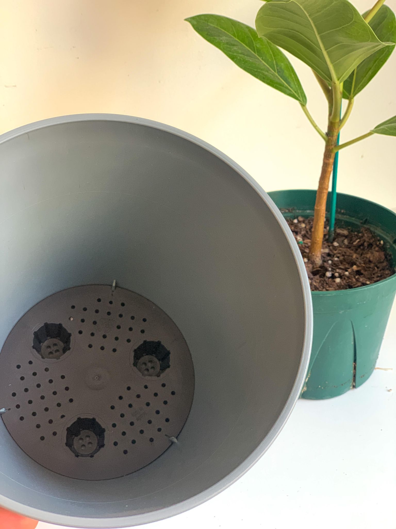 Pot en plastique recylé - gris – Alma Plantes