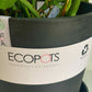 Eco pot - anthracite