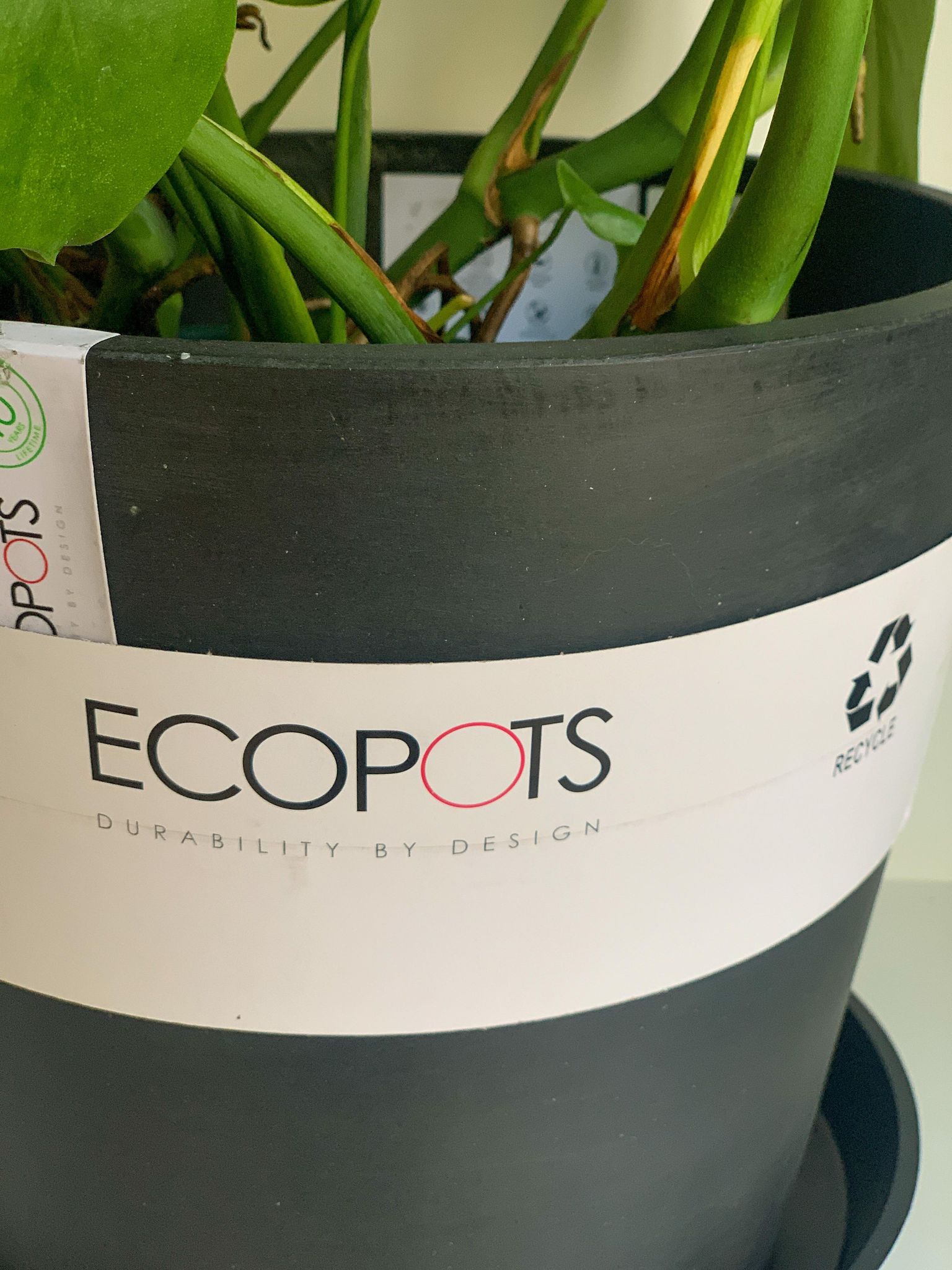 Eco pot - anthracite
