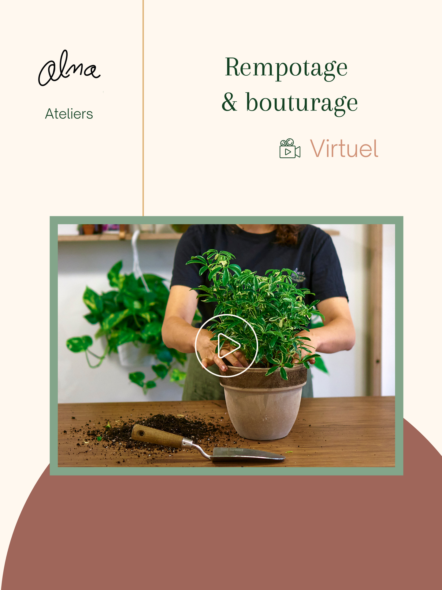 Rempotage & bouturage 101 (virtuel)