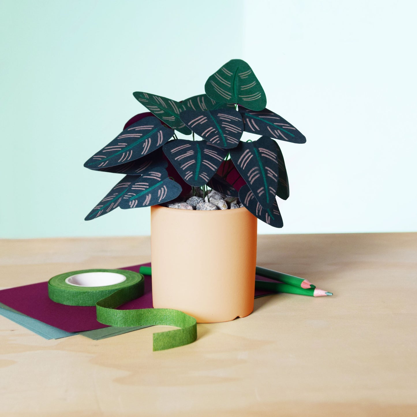 Boîte Créative - Calathea En Papier