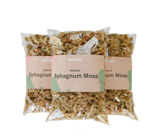 Mousse de Sphaigne - Sac de 35 g.