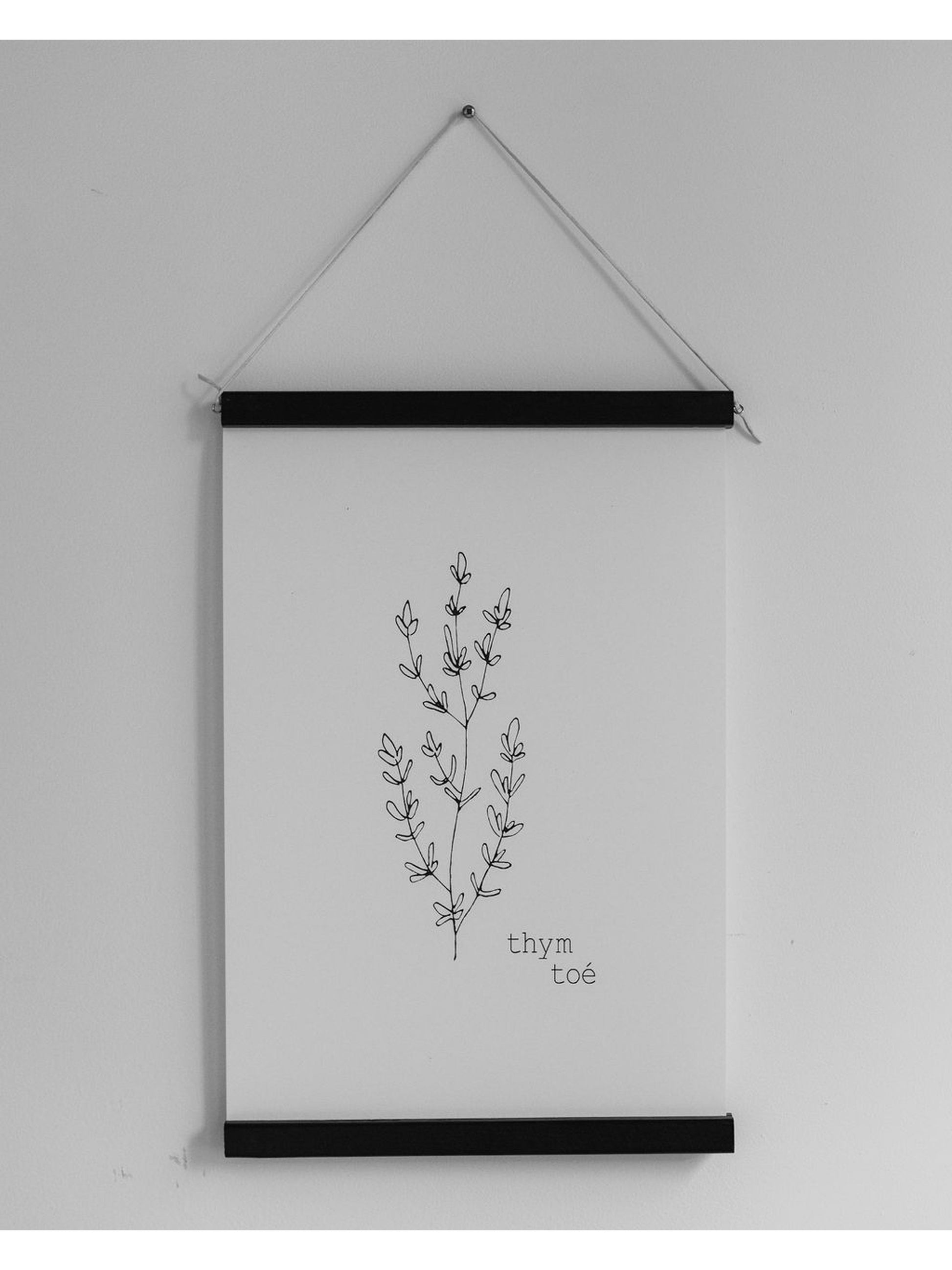 Illustration Thym Toé