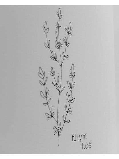 Illustration Thym Toé