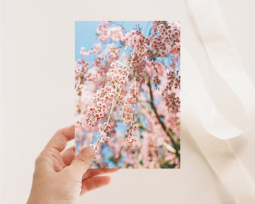 Carte de souhaits printanière - Cerisier