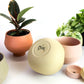 Pot Ingie Terre Cuite / Petit (Plante De 4 Po.)